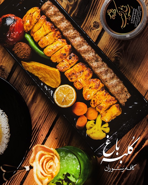 عکس وزيري